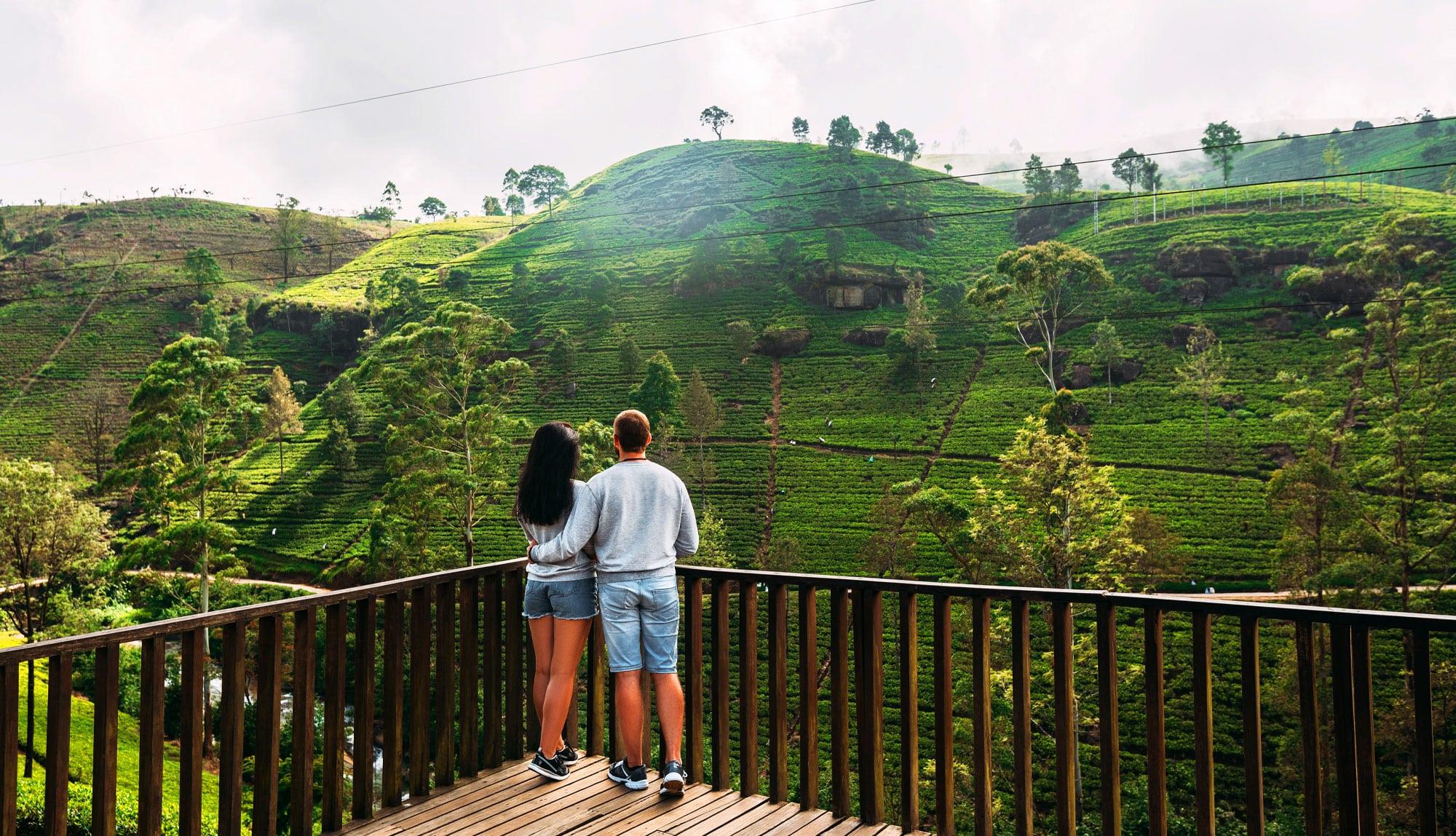 Wayanad forests