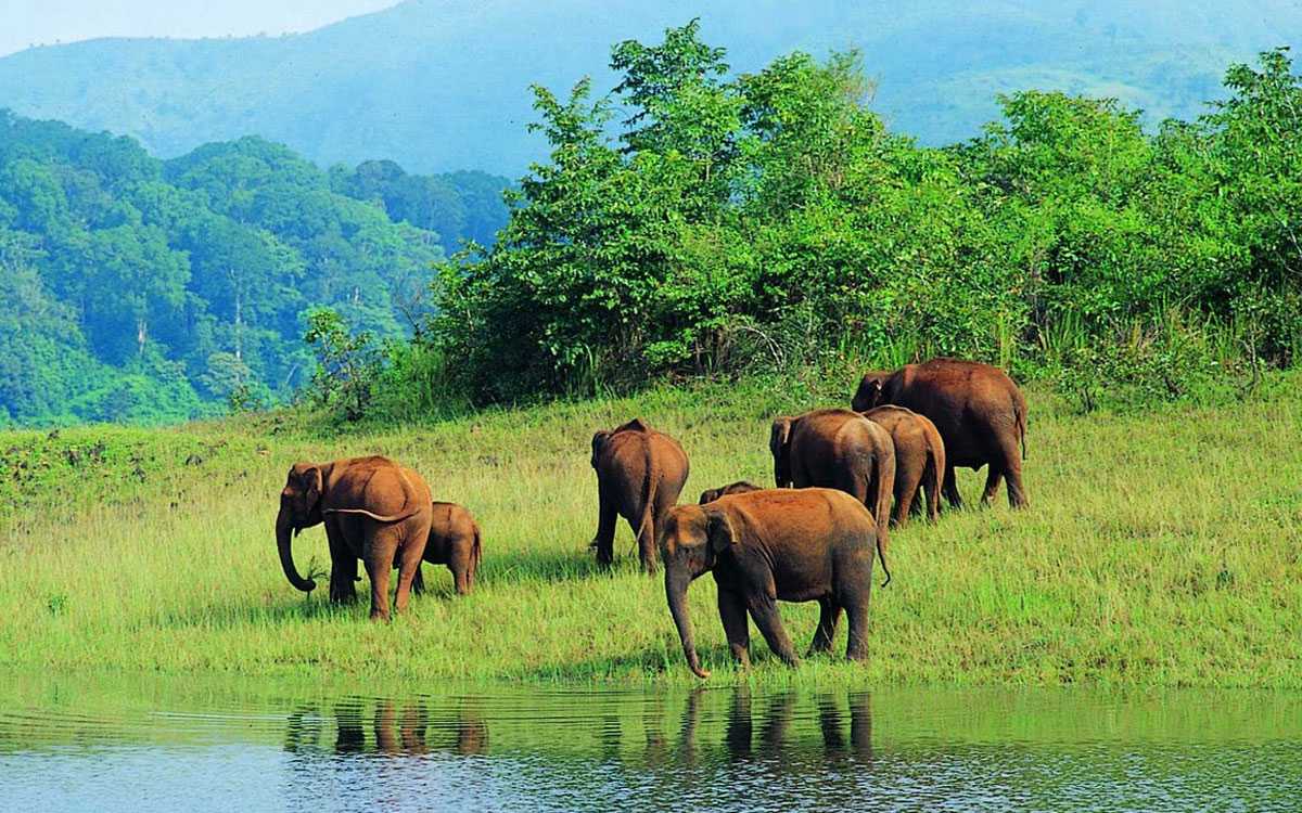 Periyar Lake in Thekkady