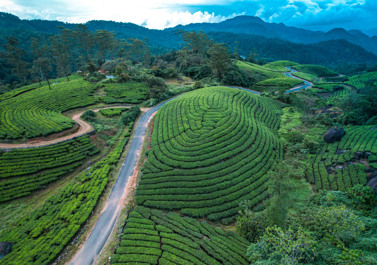 Munnar hills covered in mist